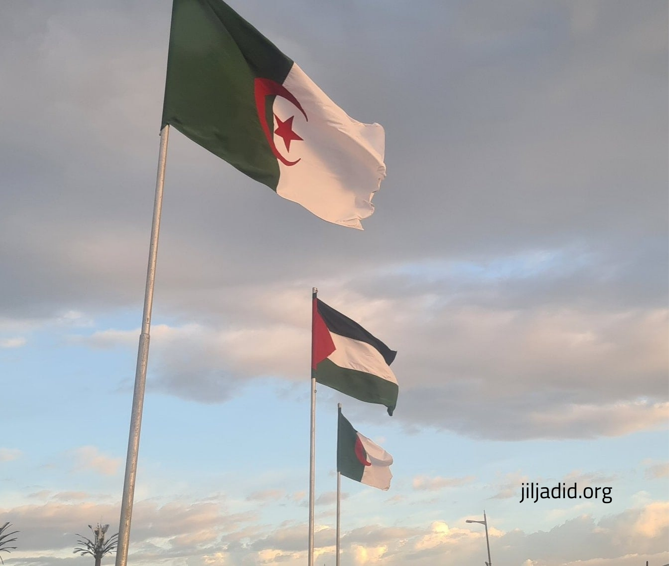 L’Algérie et la Palestine